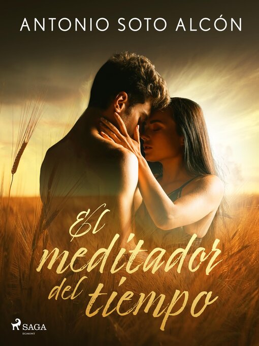 Cover image for El meditador del tiempo